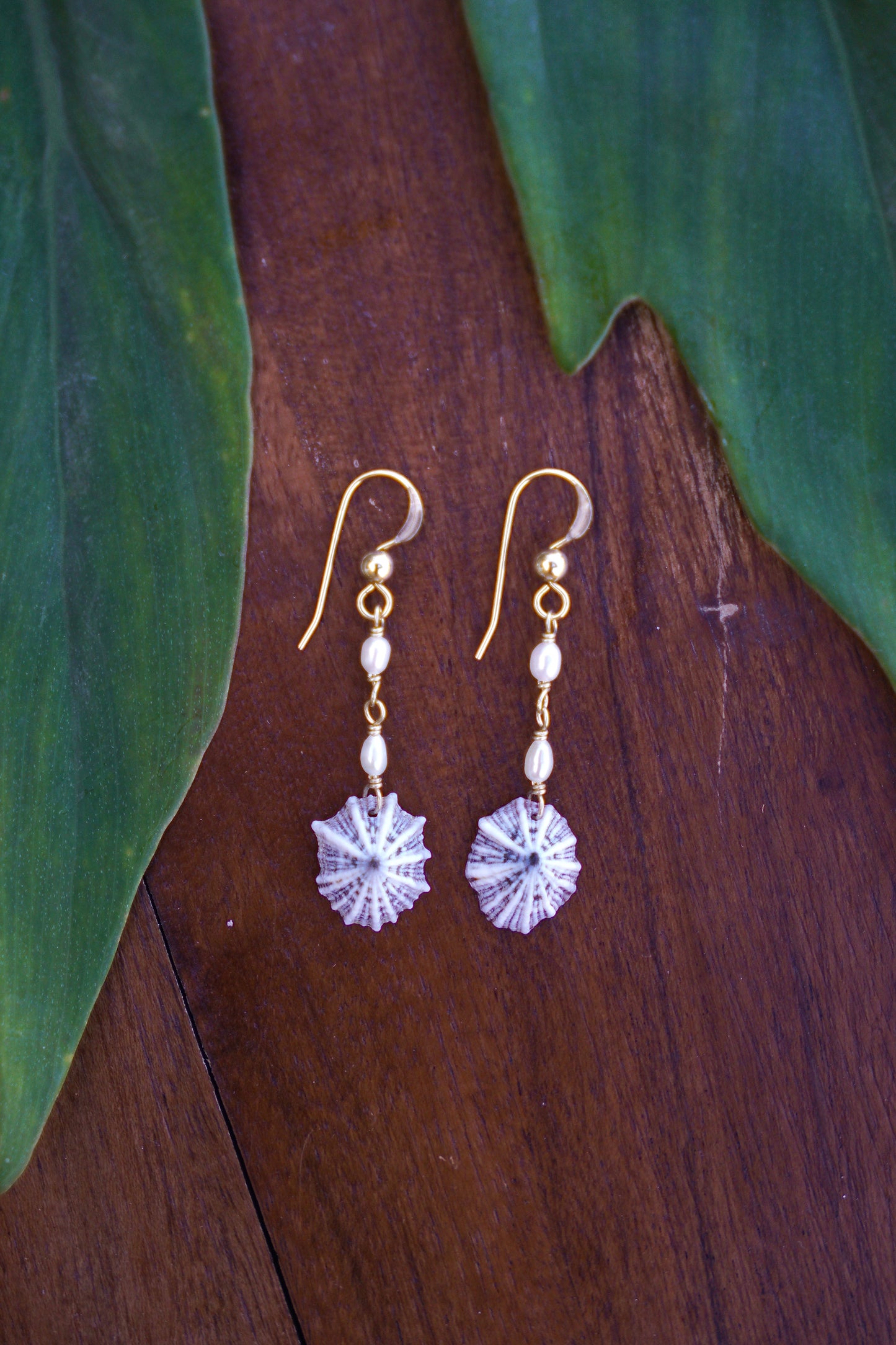 Fancy 'Opihi 'awa Earrings