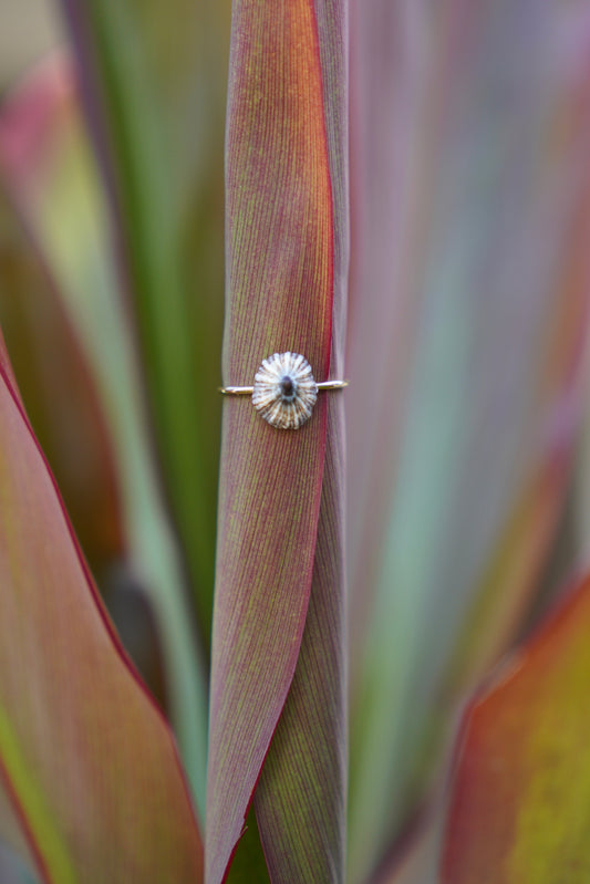 'Opihi 'awa Ring (SIZE 7)