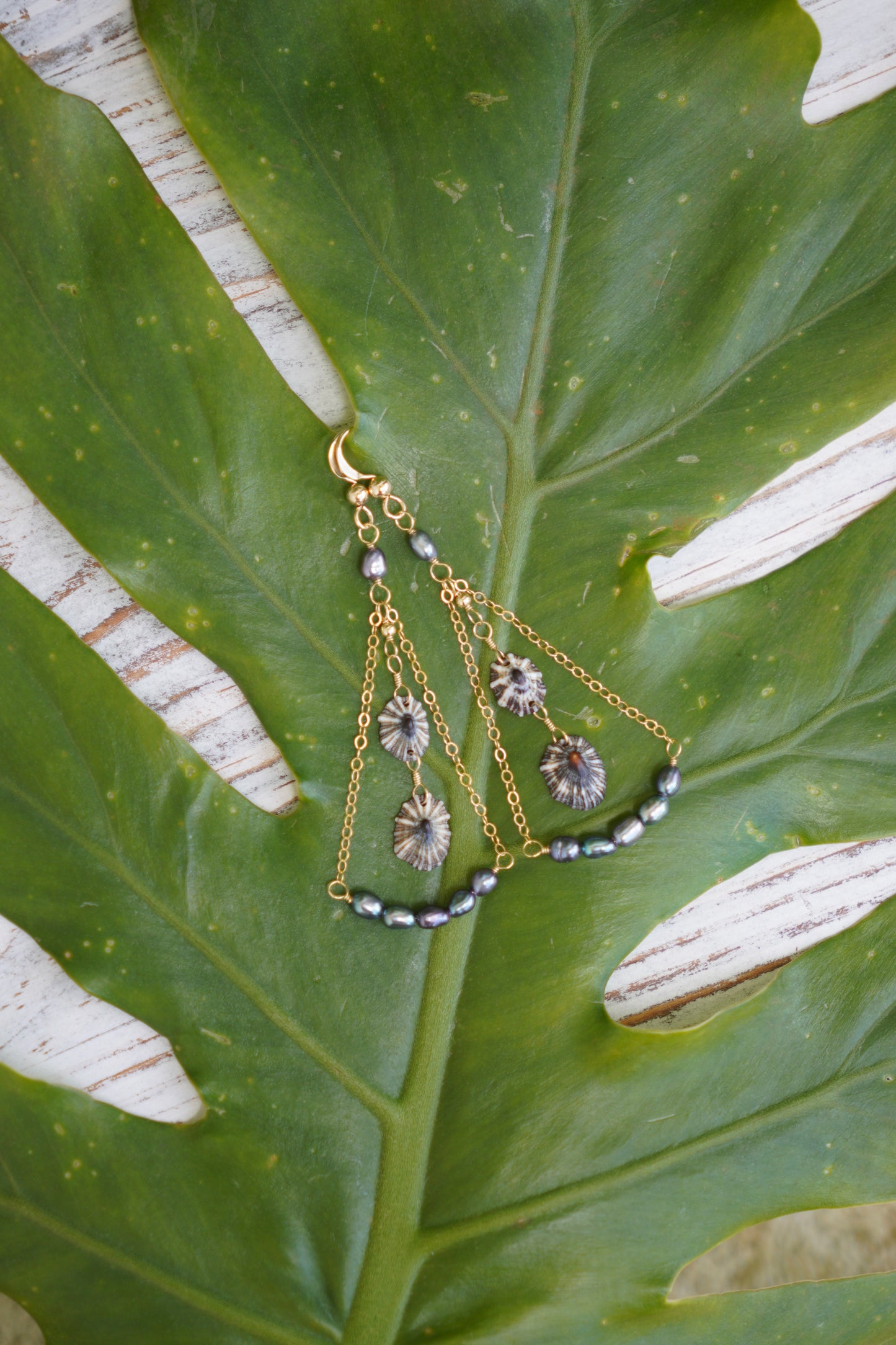 Pearl Tide `Opihi `awa Earrings
