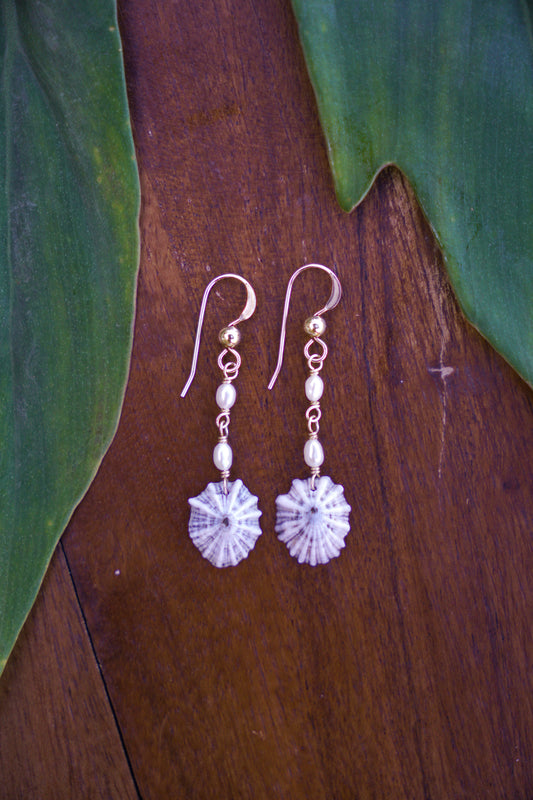 Fancy 'Opihi 'awa Earrings