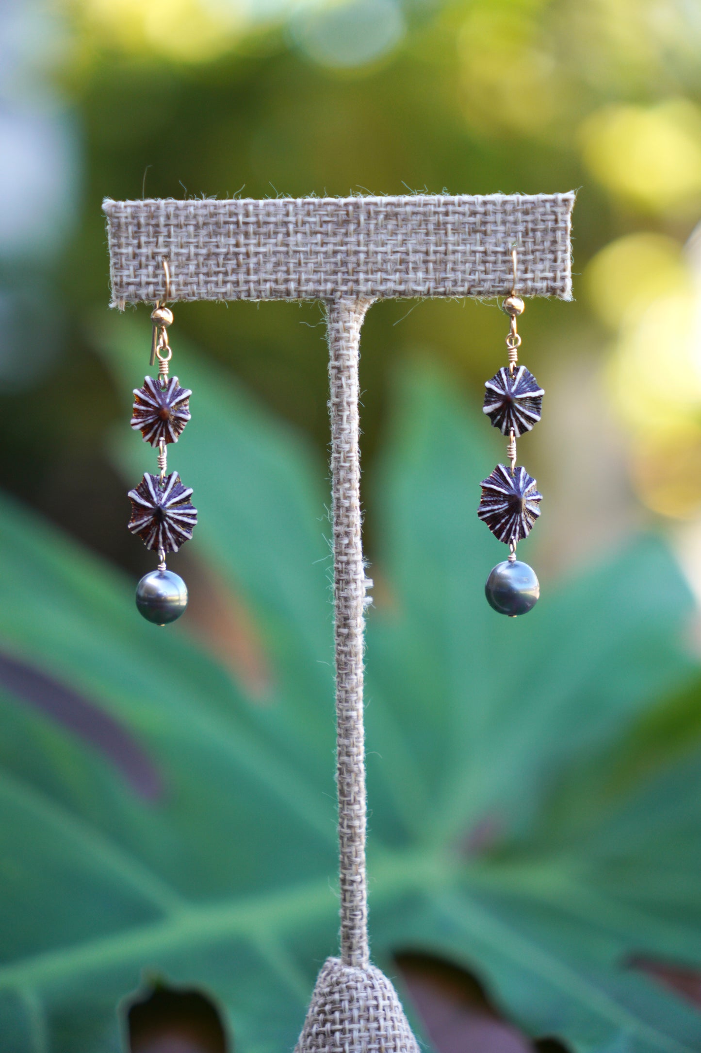 Dark `Opihi `awa Earrings