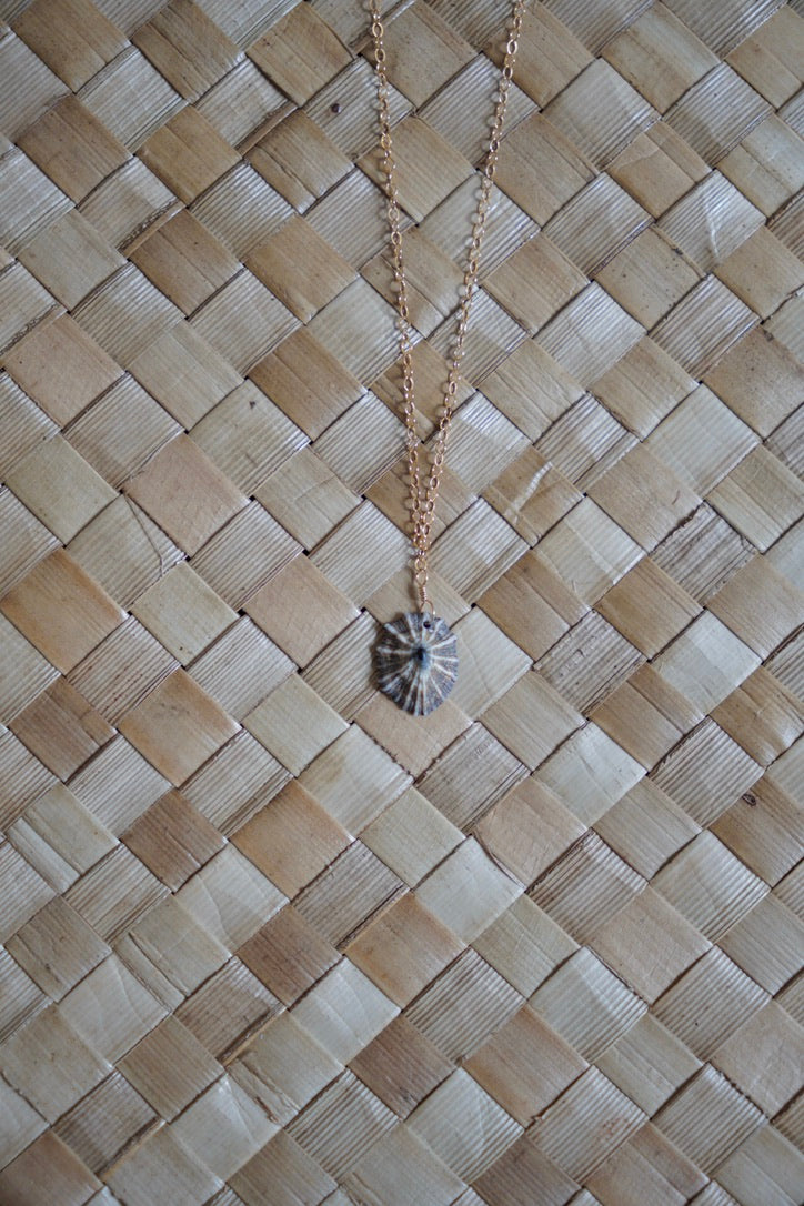 OG `Opihi `awa Necklace
