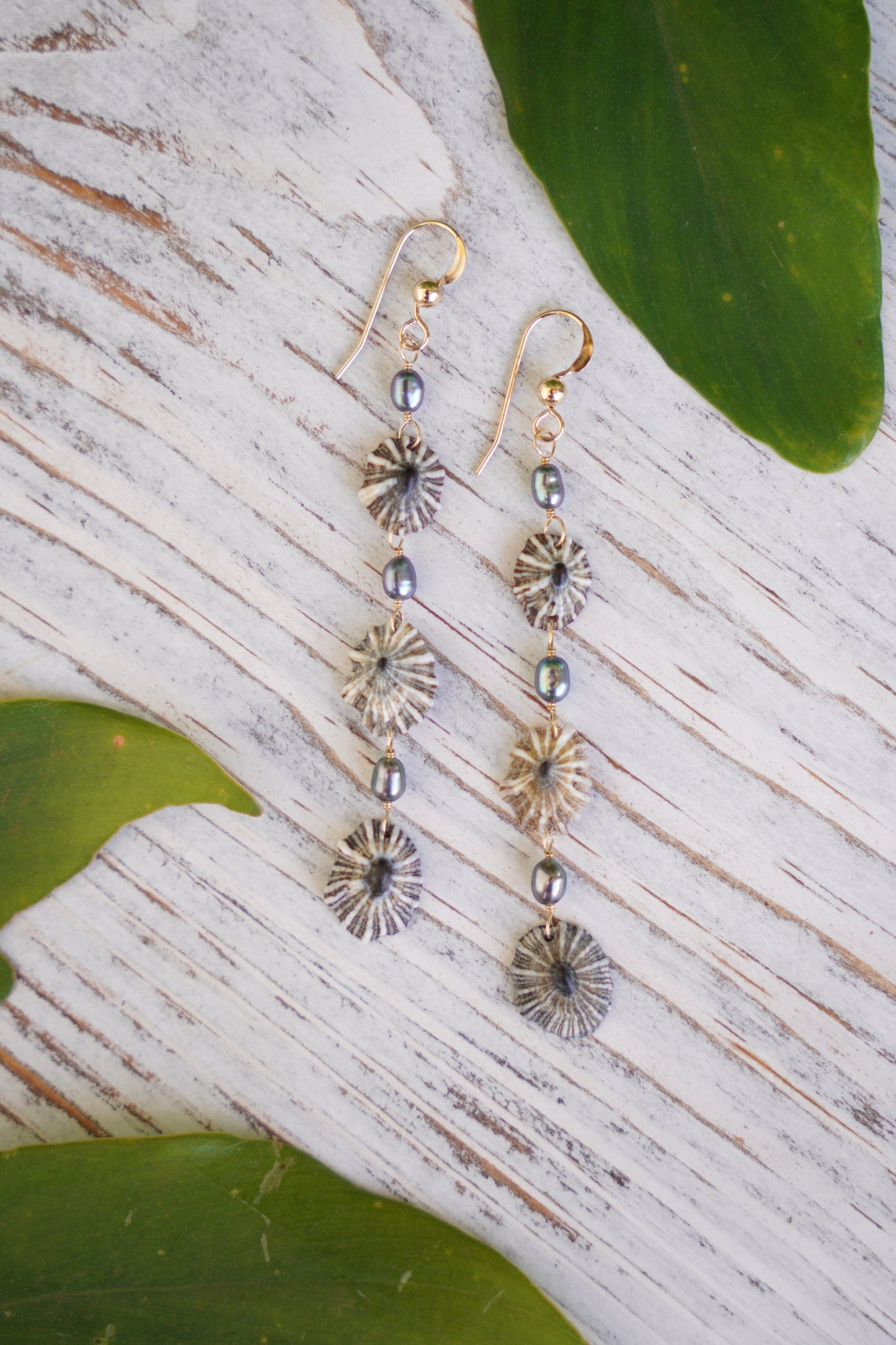 Endless 'Opihi 'awa Earrings