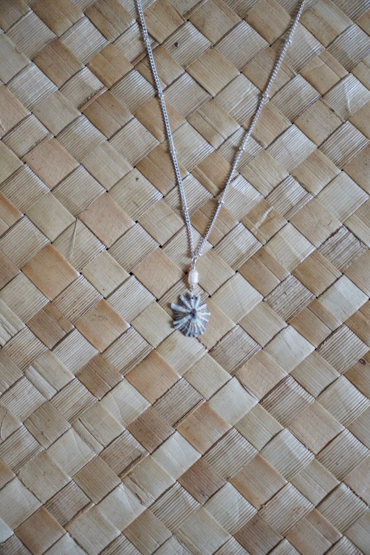 Simple `Opihi `awa and Pearl Necklace
