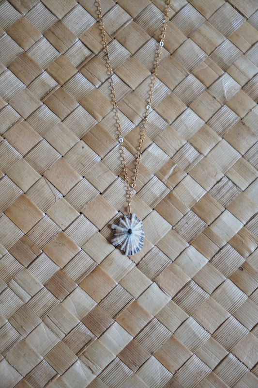 OG `Opihi `awa Necklace (SILVER)