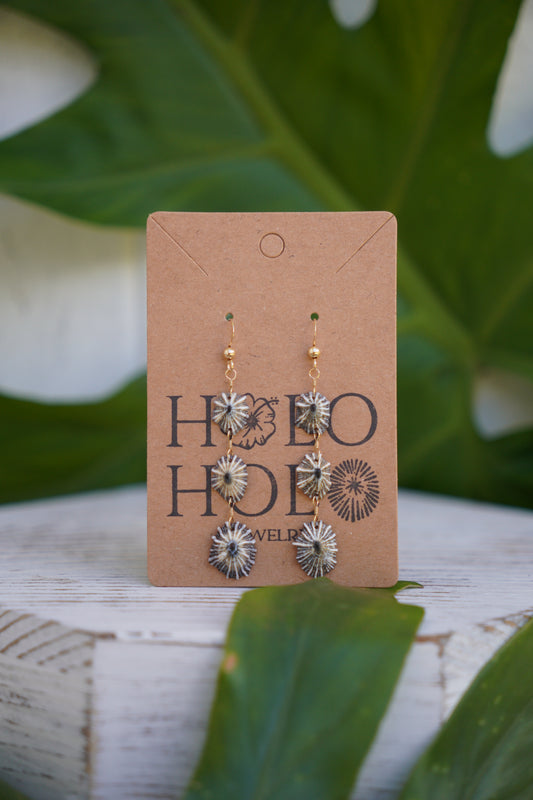 Endless 'Opihi 'awa Earrings