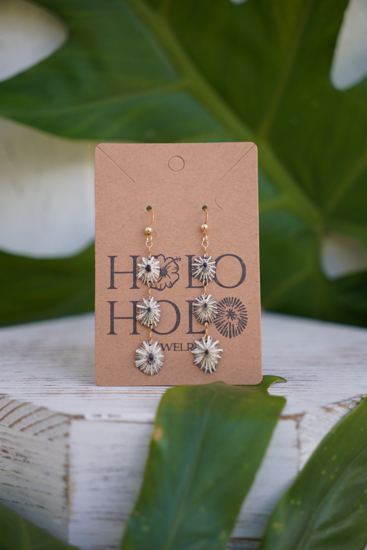 Endless 'Opihi 'awa Earrings