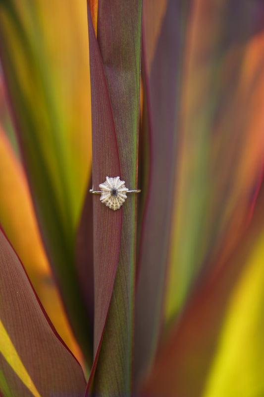'Opihi 'awa Ring (SIZE 5)