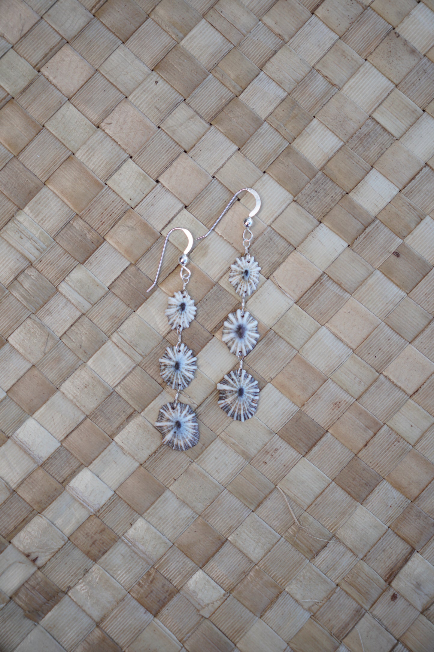 Endless 'Opihi 'awa Earrings
