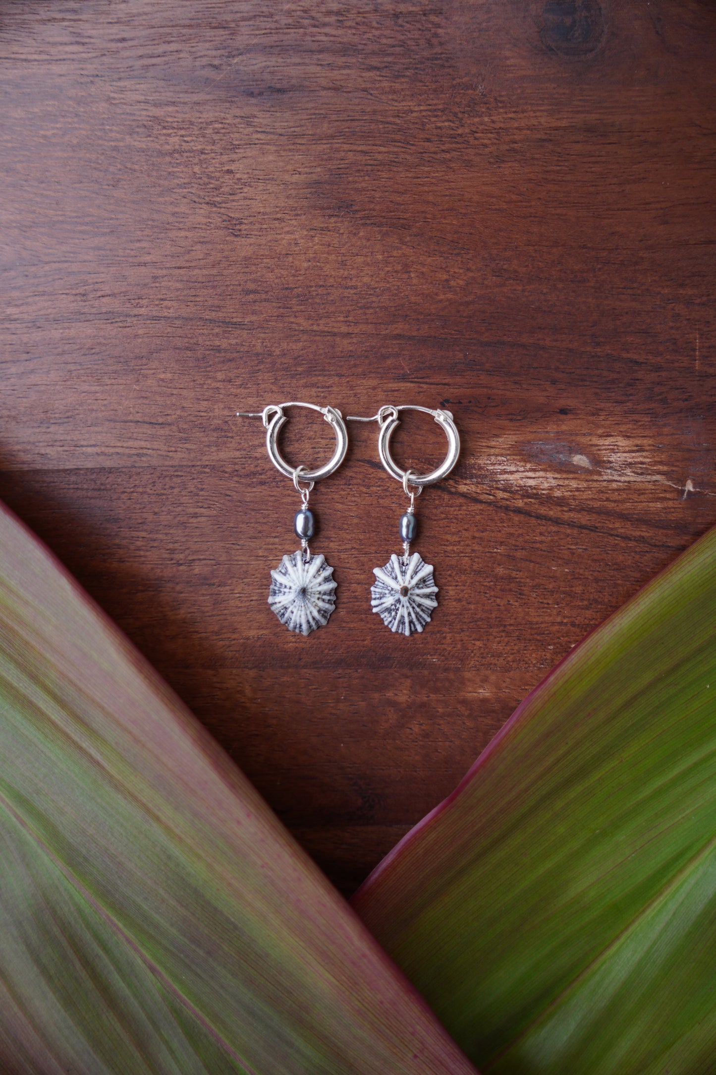 `Opihi `awa Huggie Hoops