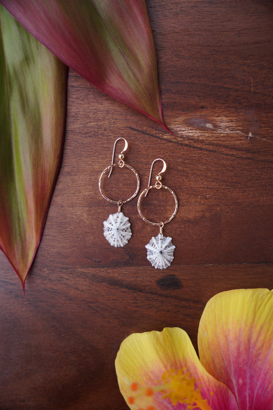 `Opihi `awa Brianna Earrings