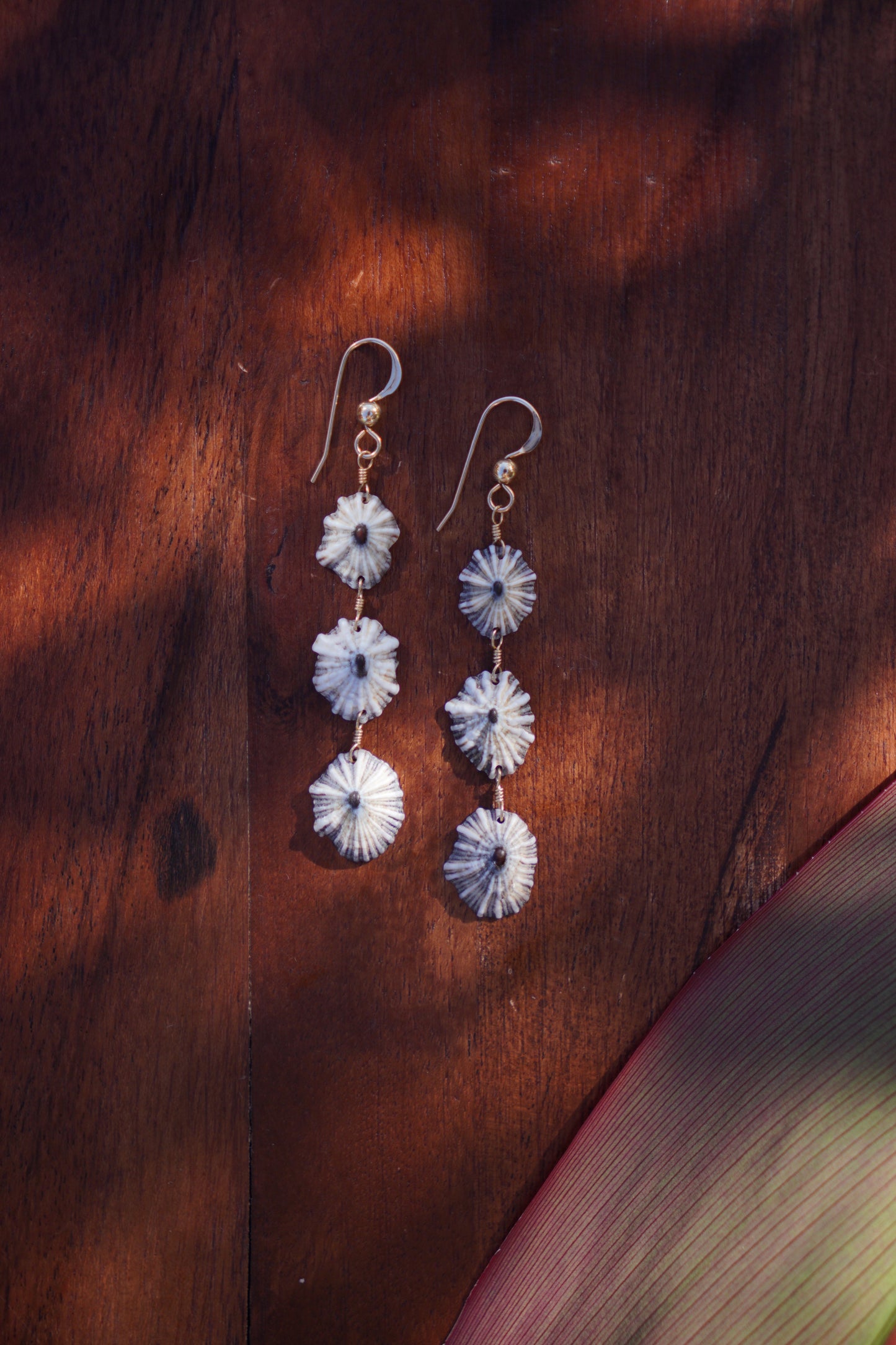 Endless 'Opihi 'awa Earrings