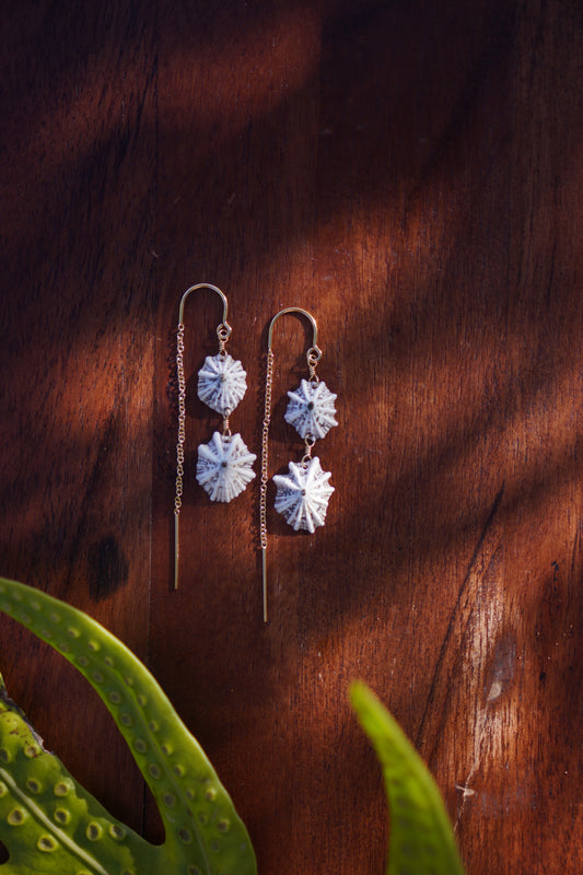 `Opihi `awa Threader Earrings
