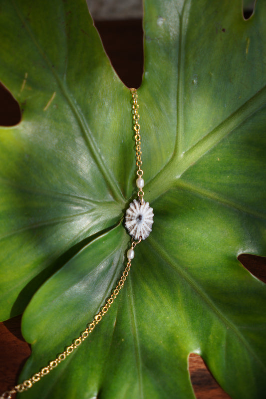 Simple 'Opihi 'awa Bracelet