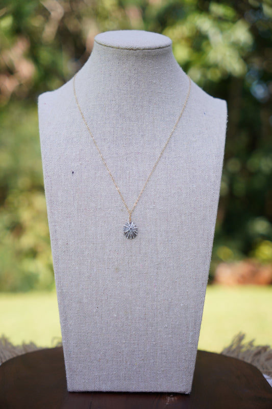 OG `Opihi `awa Necklace (GOLD)