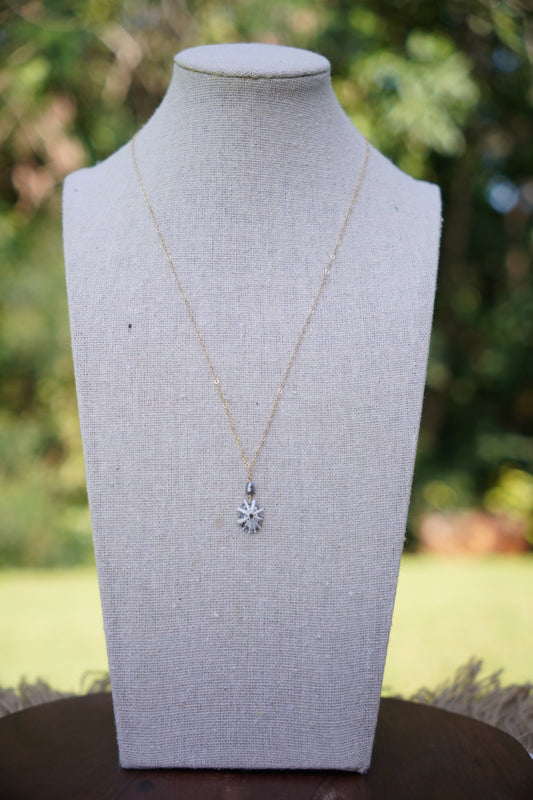 Simple `Opihi `awa Necklace