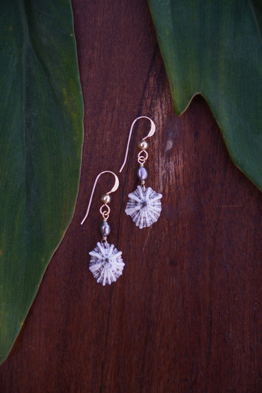 Simple `Opihi `awa Earrings