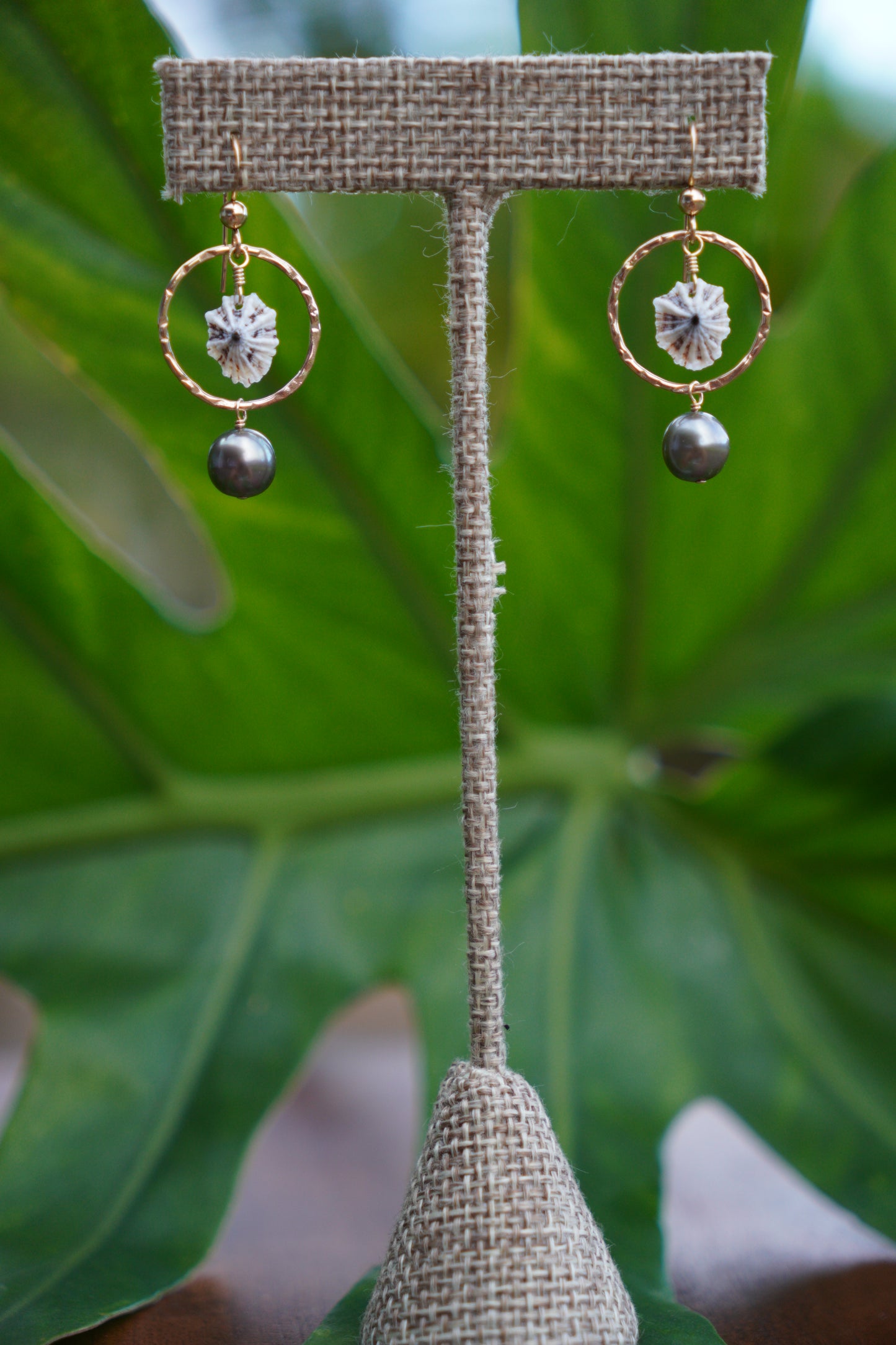 'Opihi 'awa and Tahitian Pearl Earrings