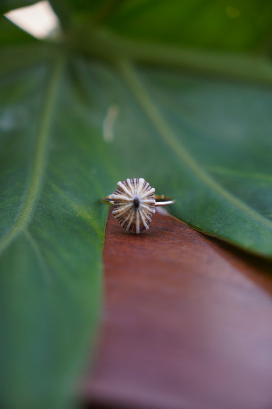 'Opihi 'awa Ring (SIZE 5)