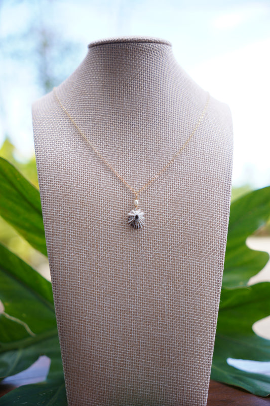 Simple `Opihi `awa Necklace