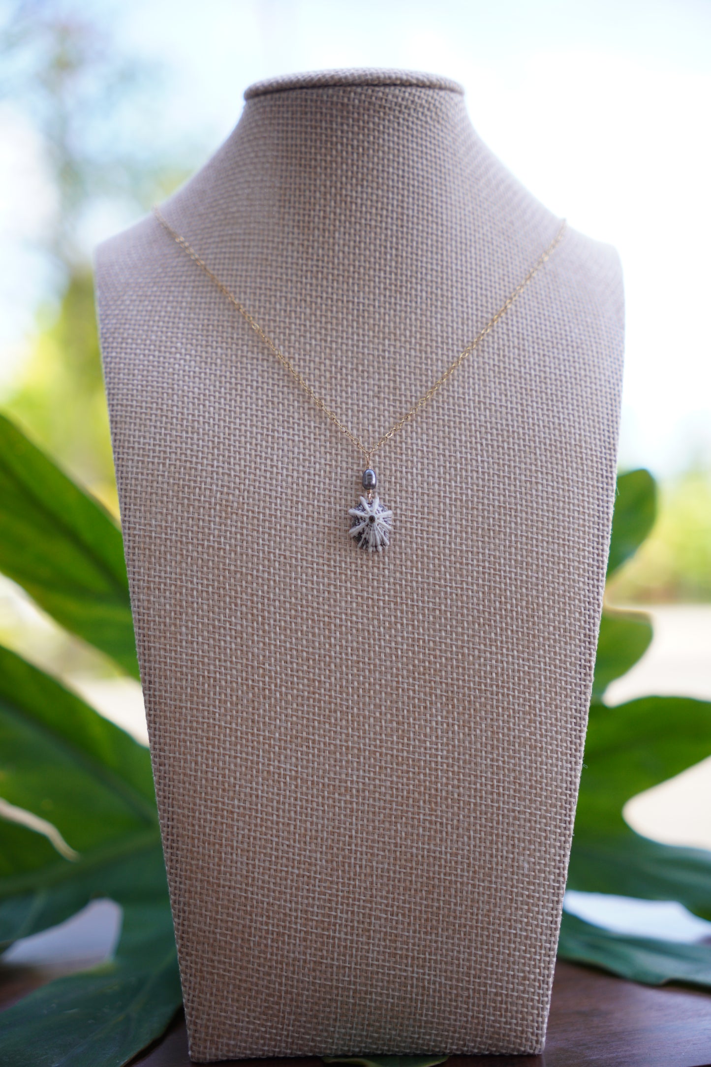 Simple `Opihi `awa Necklace