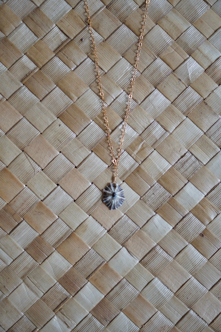 OG `Opihi `awa Necklace
