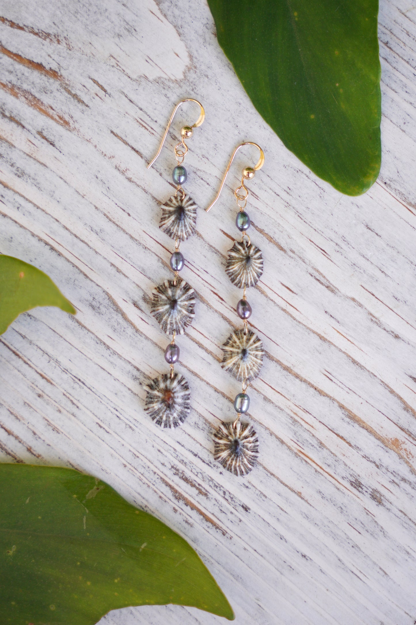 Endless 'Opihi 'awa Earrings