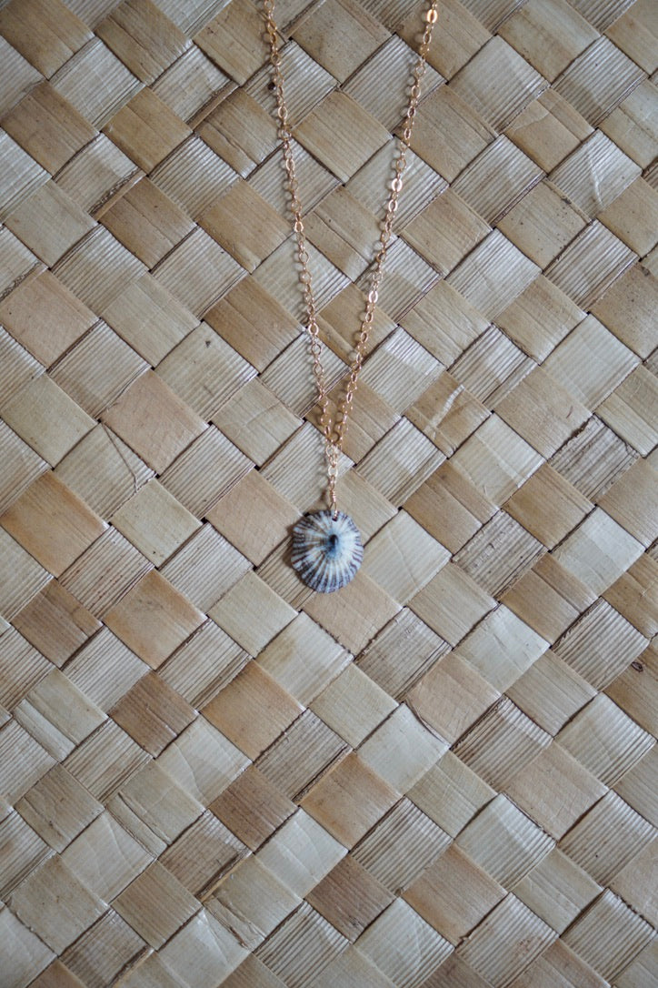 OG `Opihi `awa Necklace