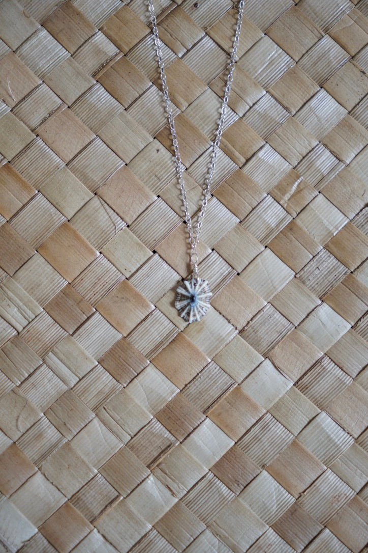 OG `Opihi `awa Necklace