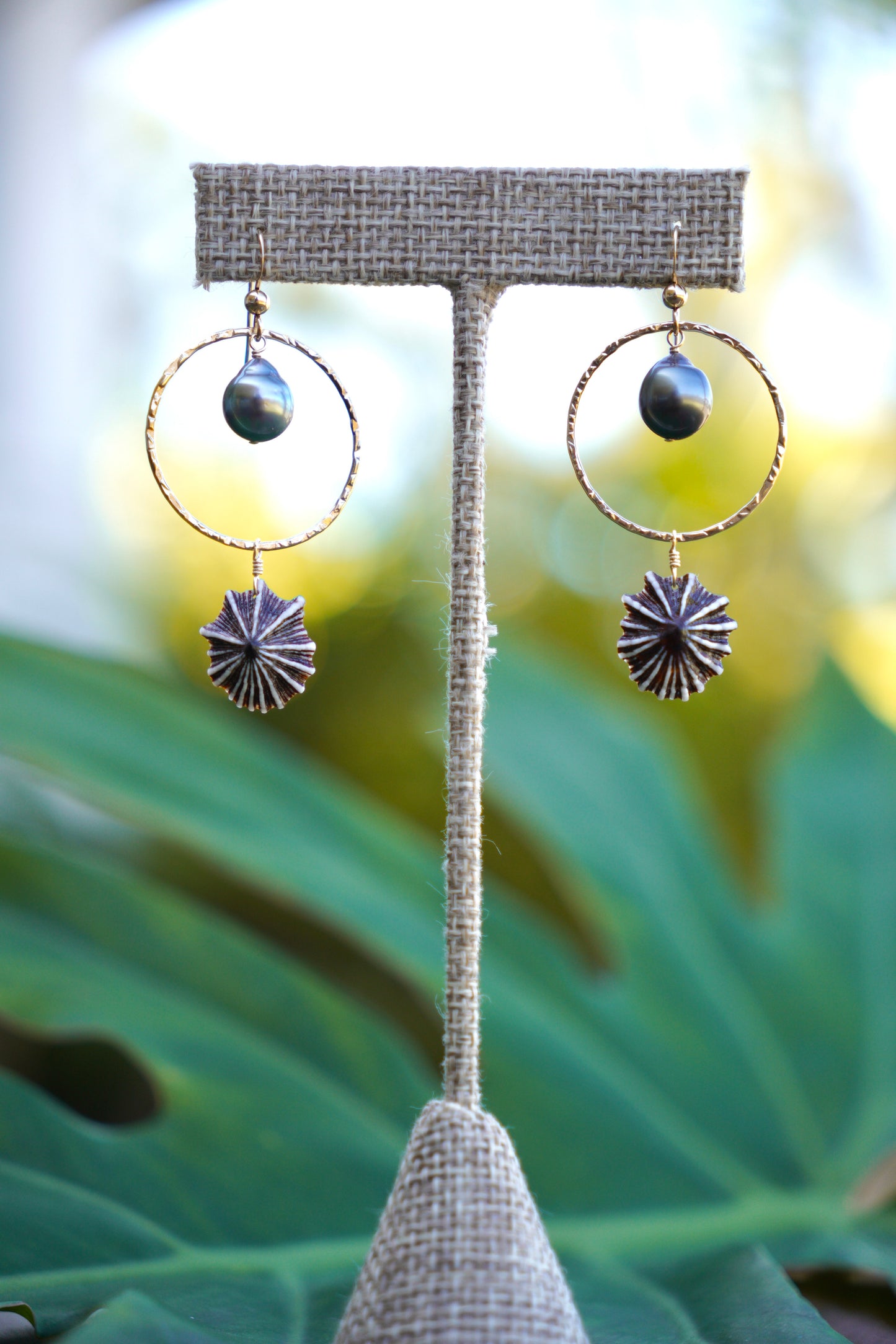 Jumbo `Opihi `awa and Tahitian Pearl Earrings