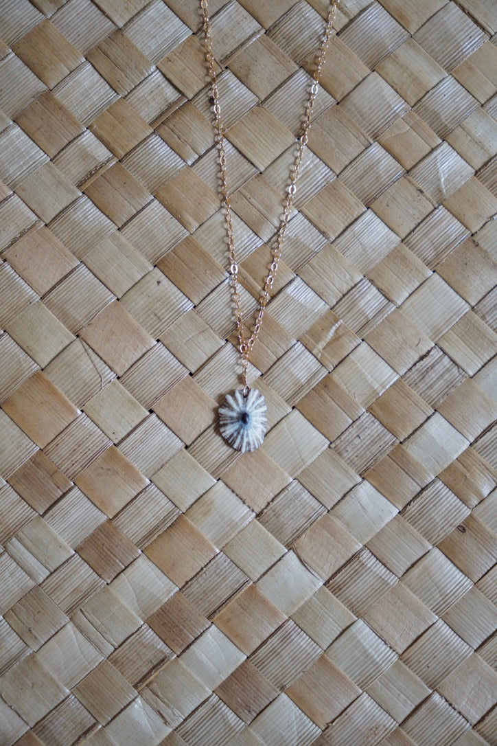 OG `Opihi `awa Necklace