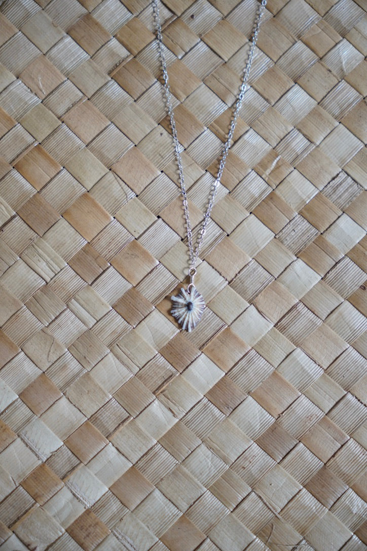 OG `Opihi `awa Necklace