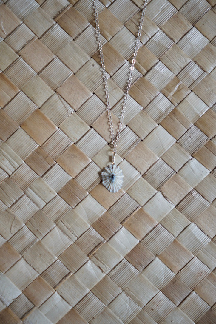 OG `Opihi `awa Necklace