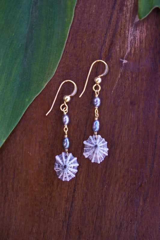 Fancy 'Opihi 'awa Earrings