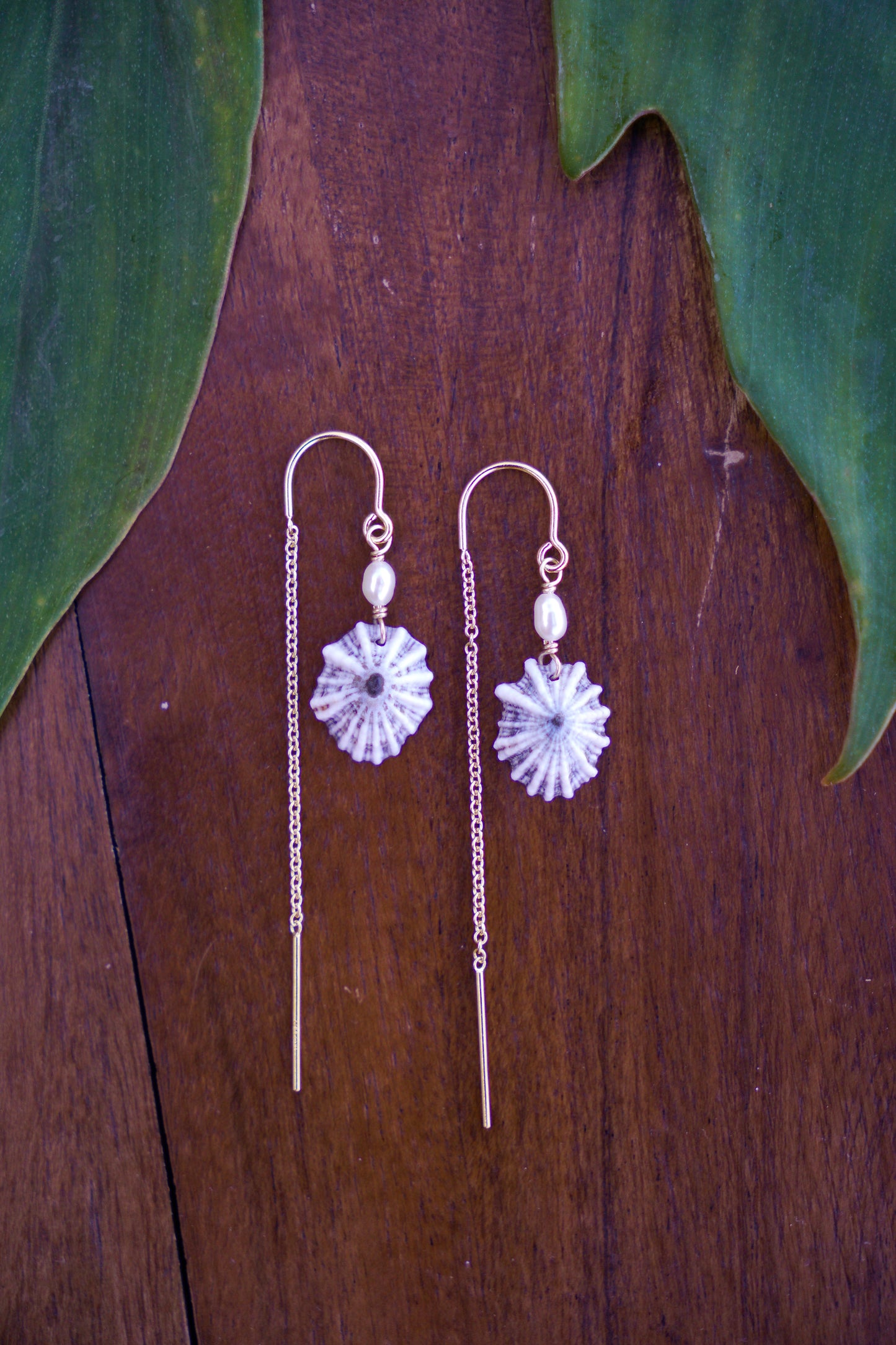 `Opihi `awa Threader Earrings