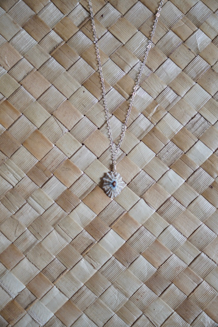 OG `Opihi `awa Necklace