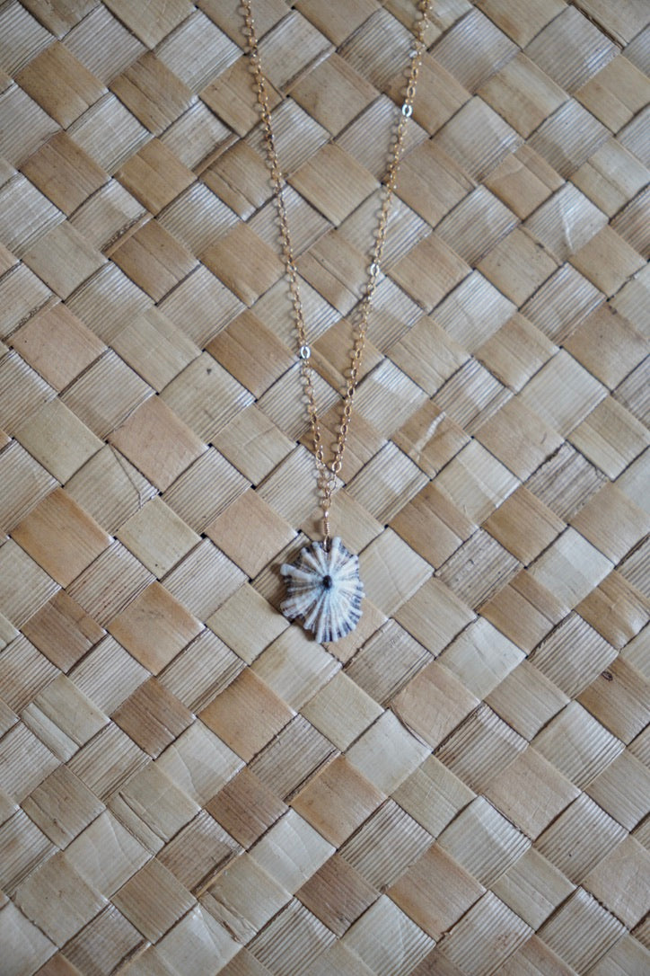 OG `Opihi `awa Necklace
