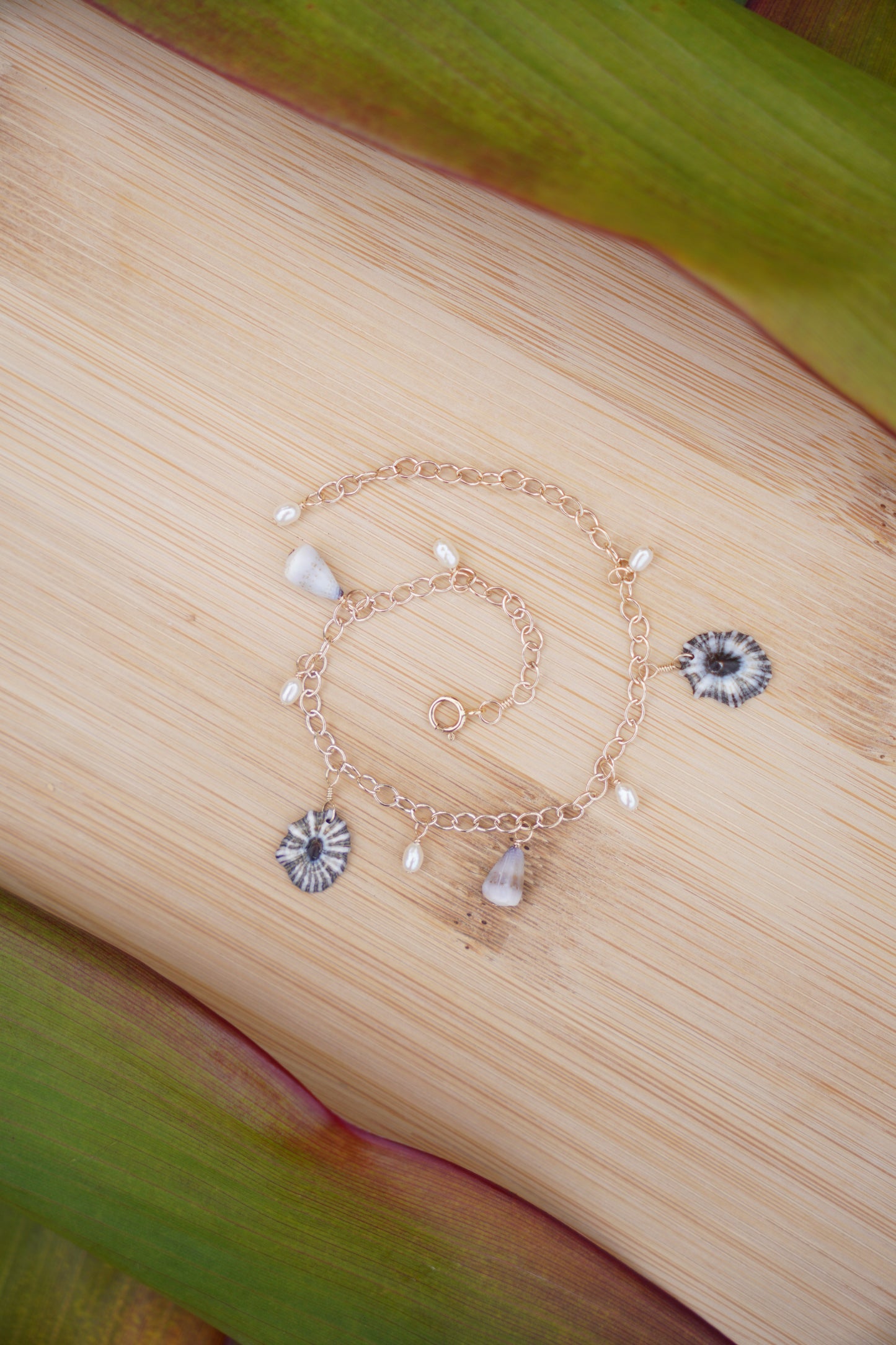 'Opihi 'awa and Shell Charm Bracelet