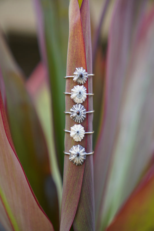 'Opihi 'awa Ring (SIZE 8)