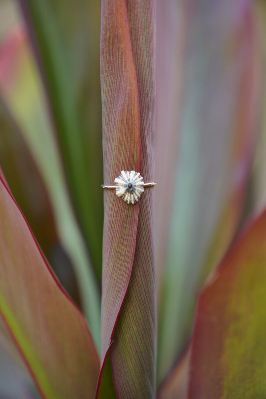 'Opihi 'awa Ring (SIZE 7)