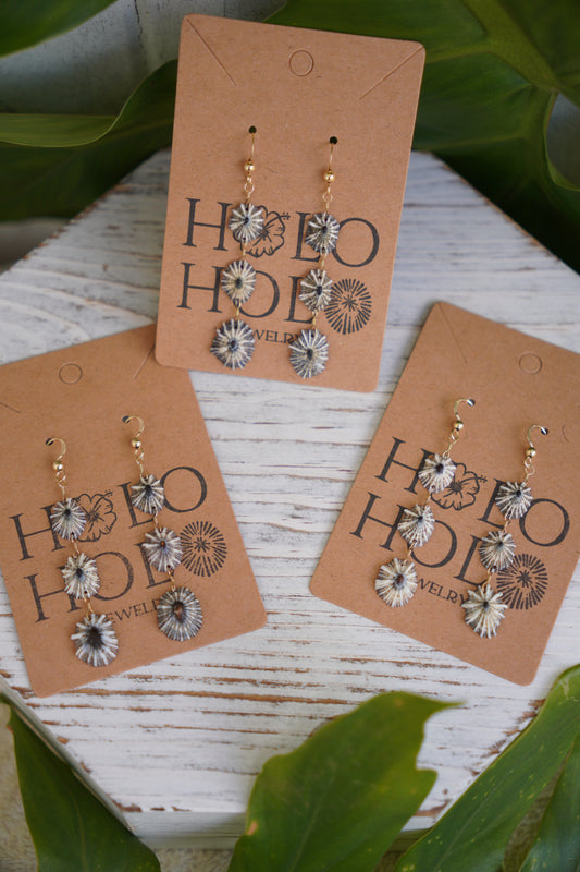 Endless 'Opihi 'awa Earrings