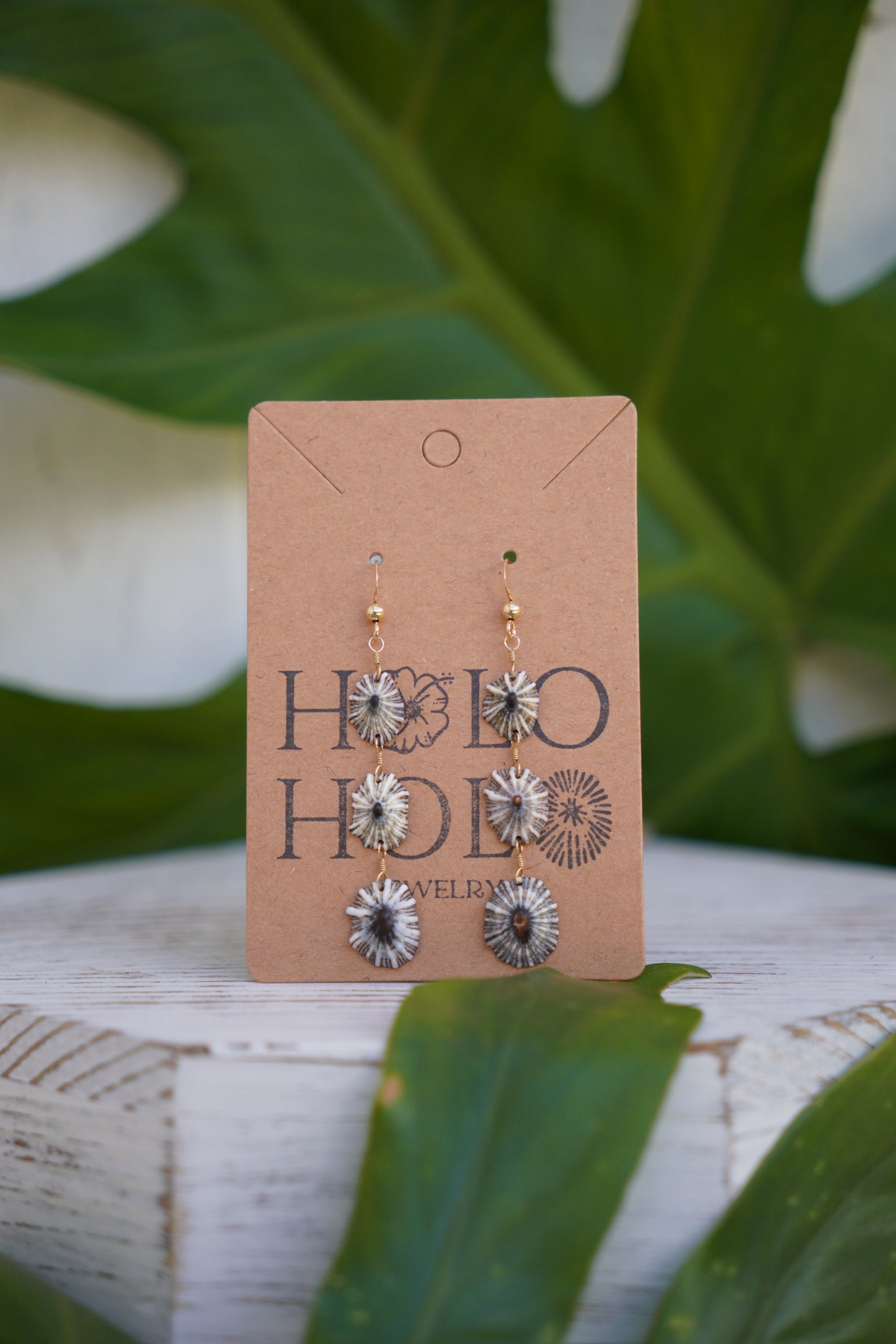 Endless 'Opihi 'awa Earrings