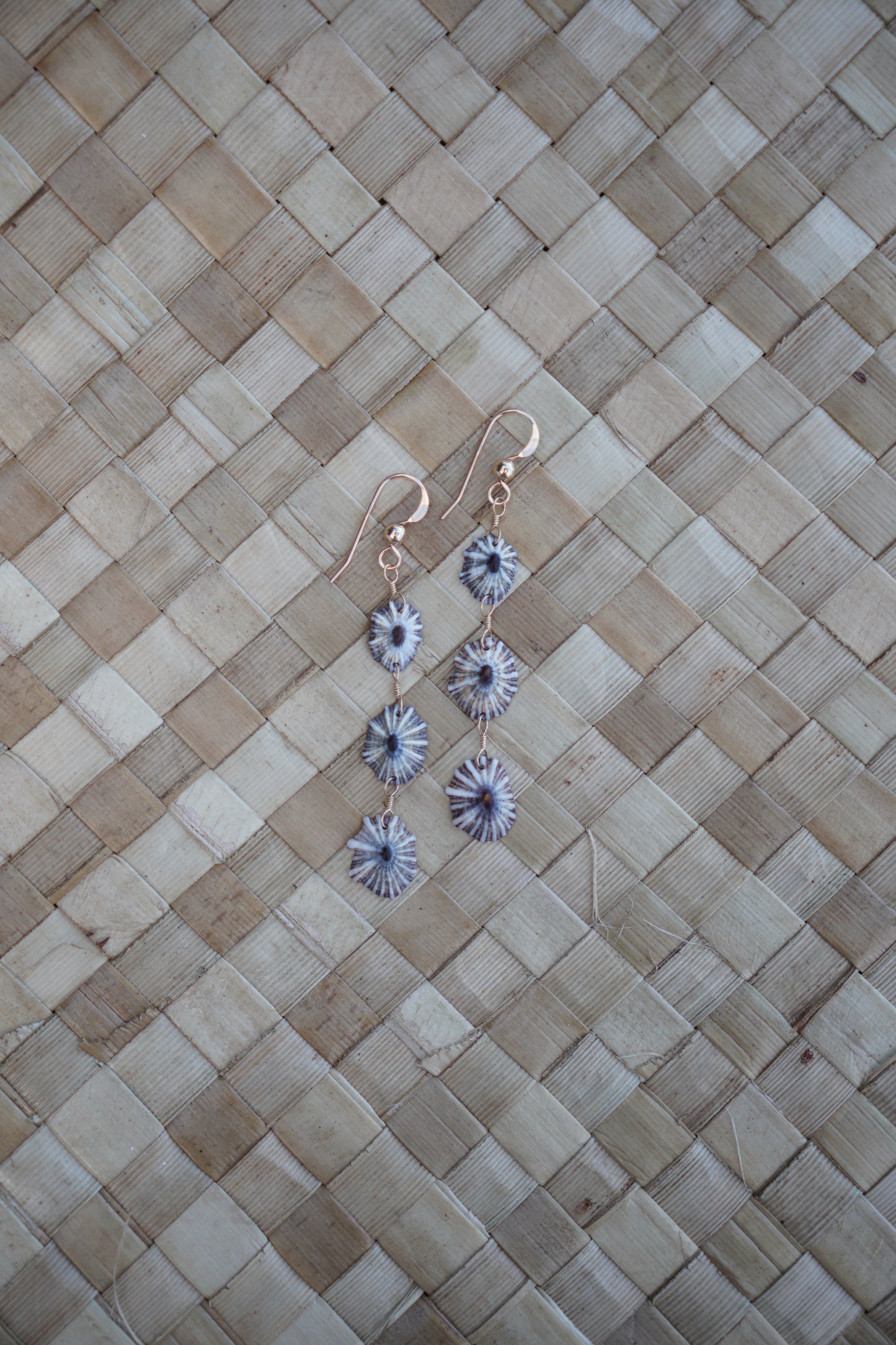 Endless 'Opihi 'awa Earrings