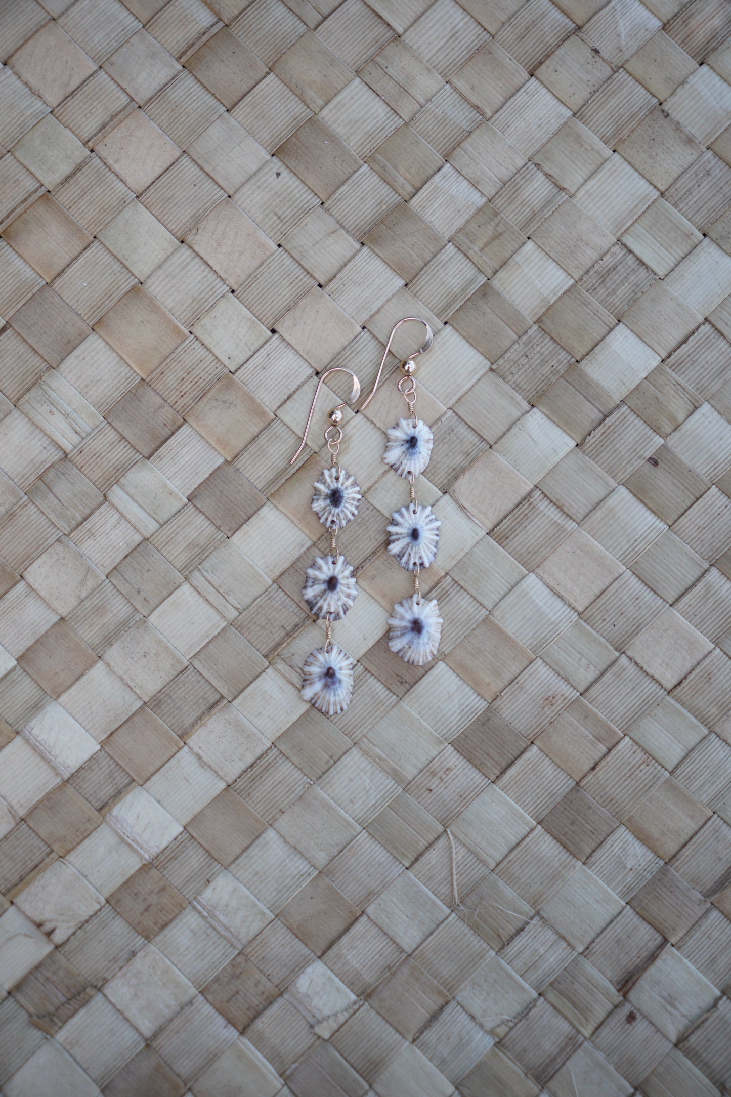 Endless 'Opihi 'awa Earrings