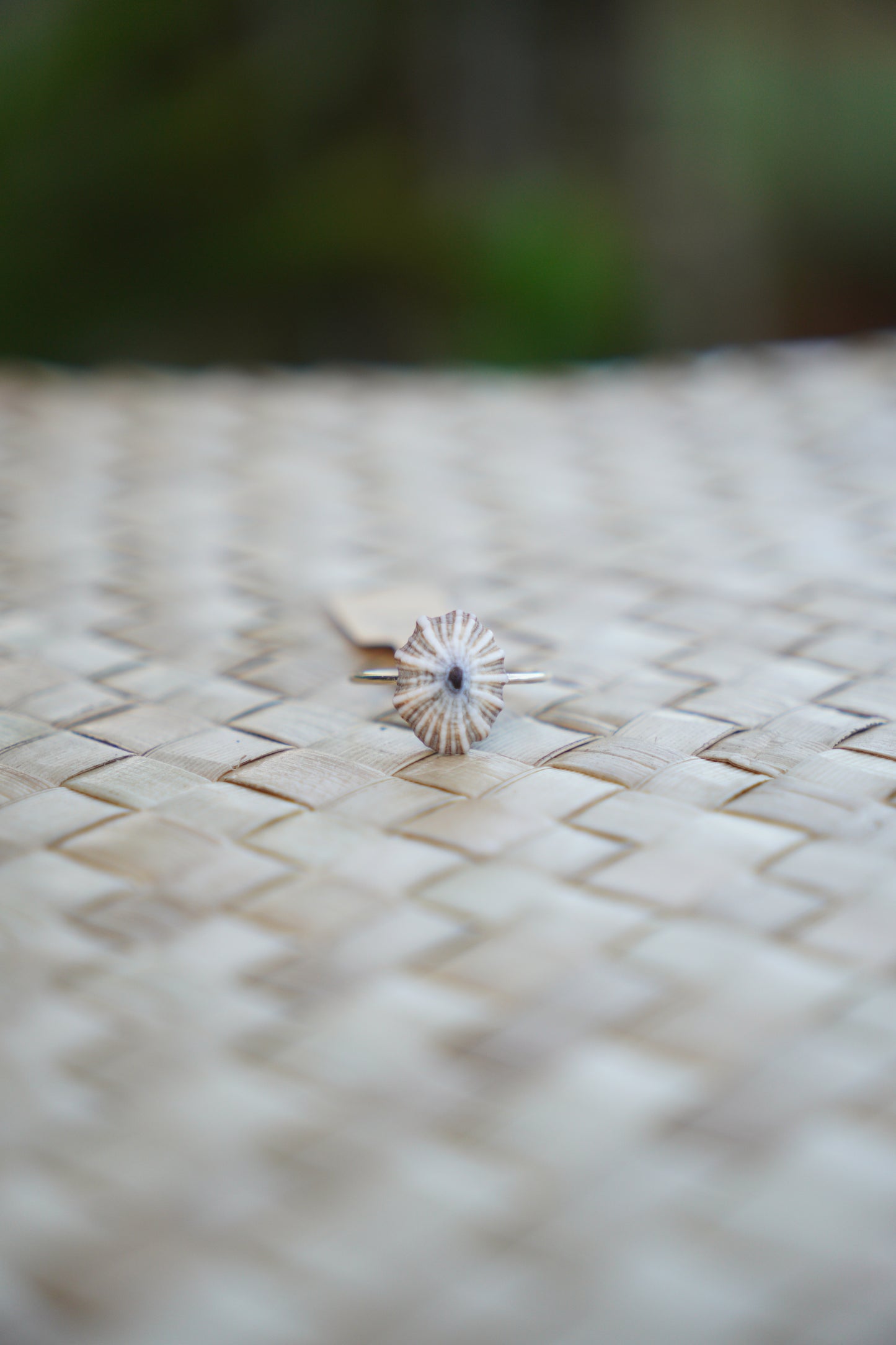 'Opihi 'awa Ring (SIZE 8)