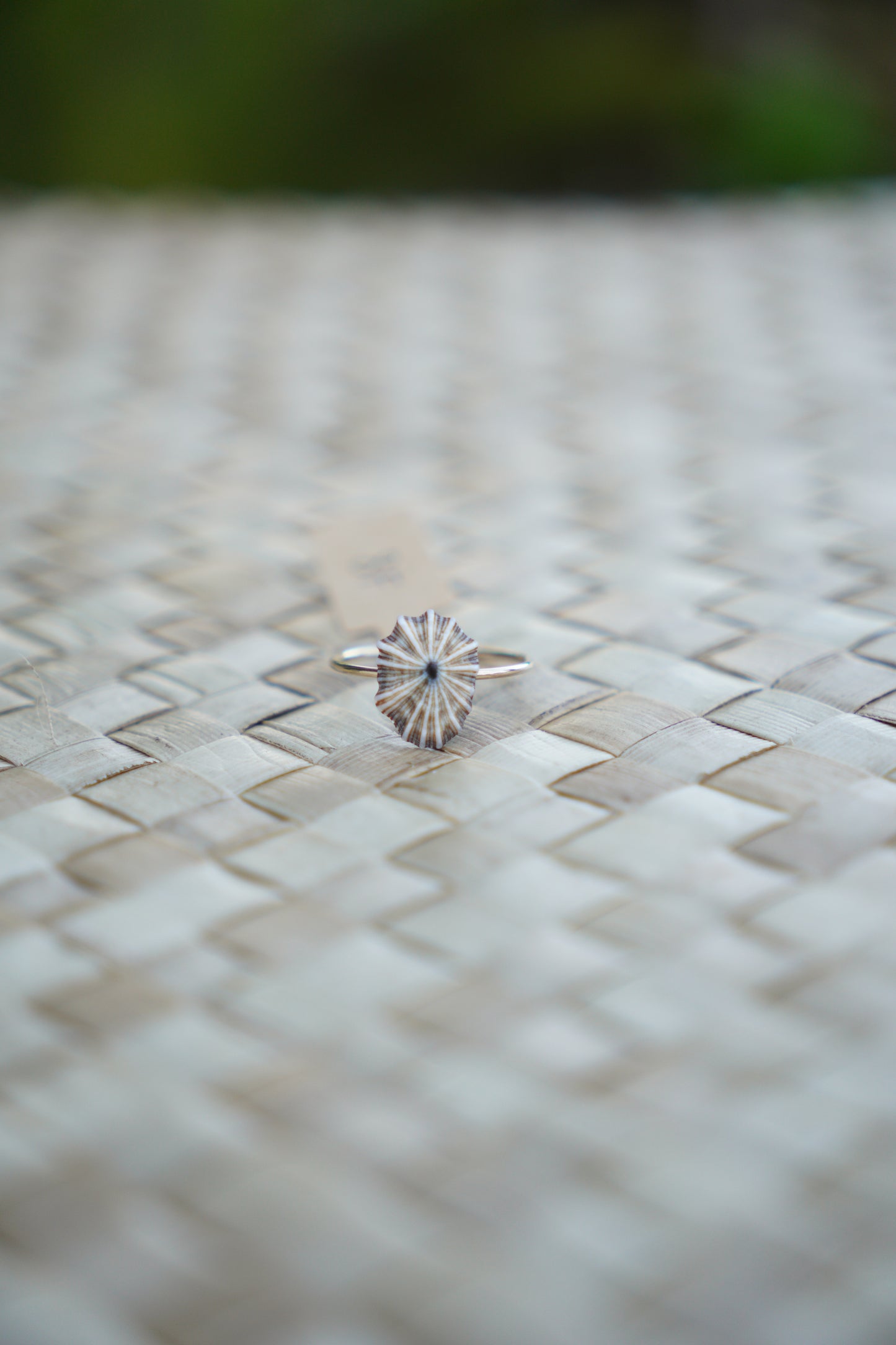 'Opihi 'awa Ring (SIZE 8)