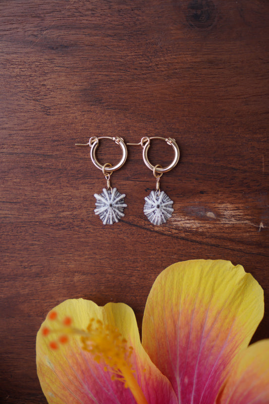 `Opihi `awa Huggie Hoops