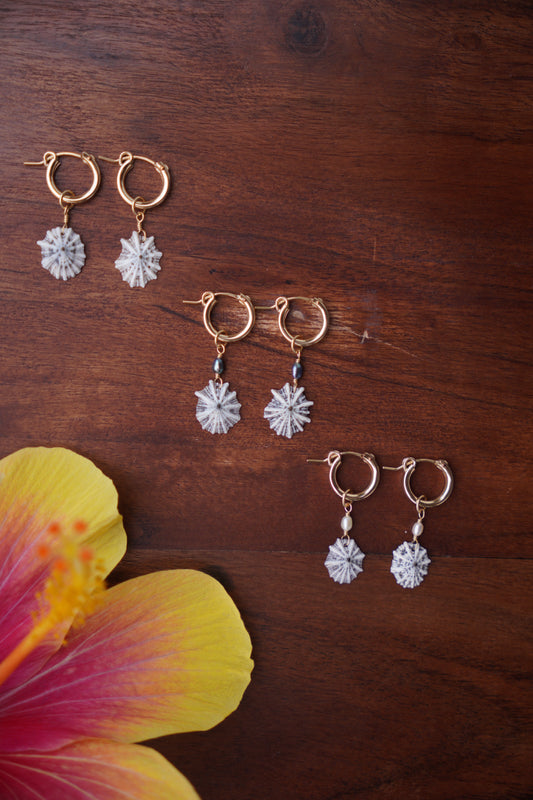 `Opihi `awa Huggie Hoops