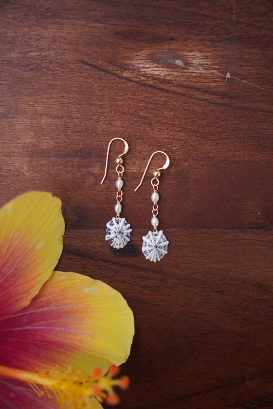 Fancy `Opihi `awa Earrings