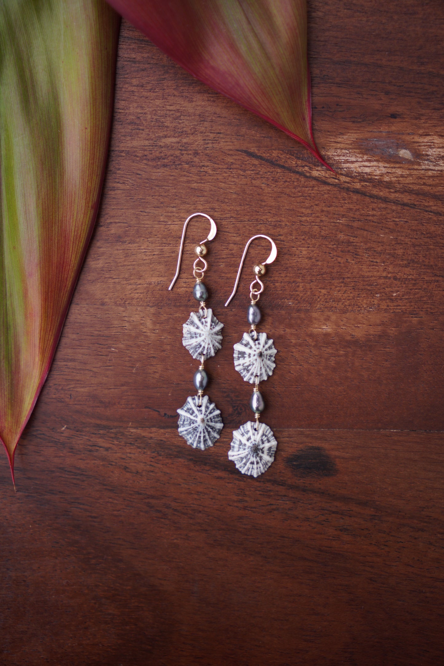 Double Trouble `Opihi `awa Earrings